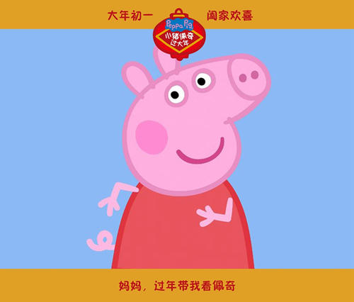办假的北卡罗来纳州出生证明